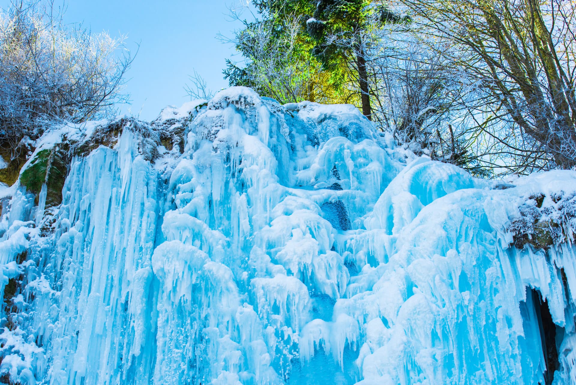 Nami Island and Garden of Morning Calm Tour from Seoul - image 11